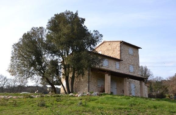 Agriturismo Surripa Amelia Eksteriør bilde